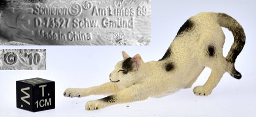 Gato 2010
