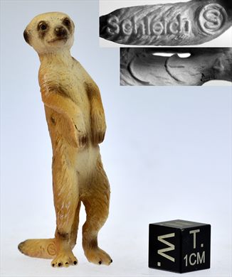 Suricata
