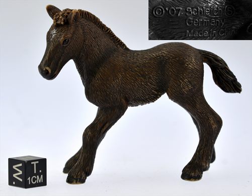 Cavalo castanho oscuro 2007