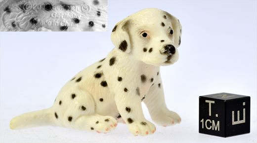 Cao Dalmata 2006