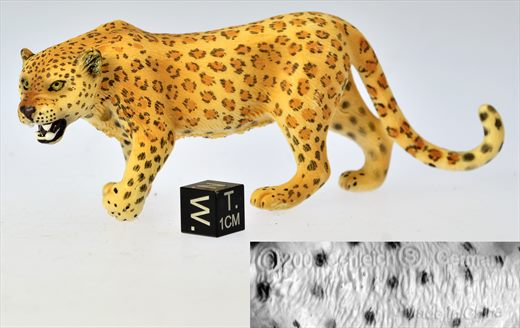 Leopardo