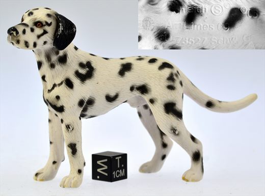 Cao Dalmata 2006