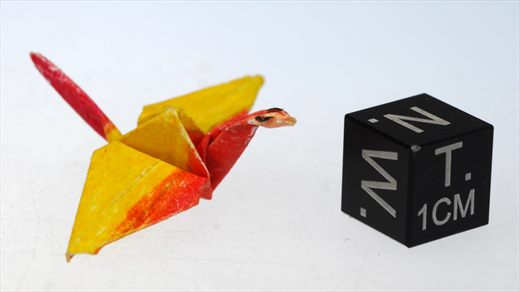 Origami