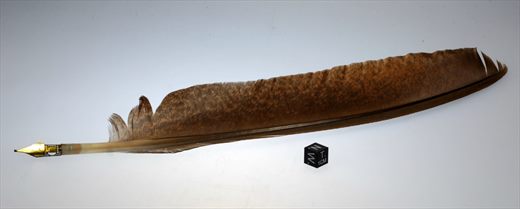 Pena No.5