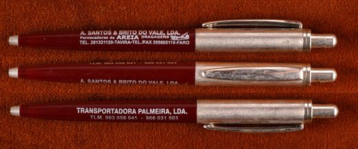 A. Santos e Brito do Vale, Lda - Transportadora Palmeira 2