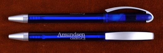 Amundsen