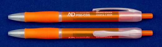 AD PSD-CDS - Bruno Sousa Costa 2025
