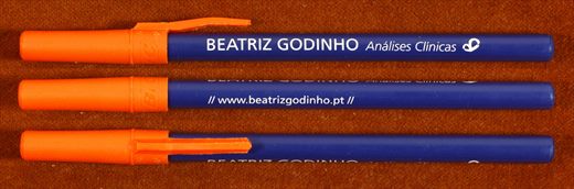 Beatriz Godinho