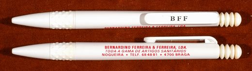 Bernardino Ferreira-Ferreira
