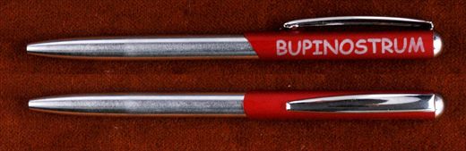 Bupinostrum