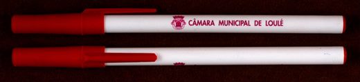 Camara Municipal de Loule 3