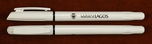 Camara Municipal de Lagos