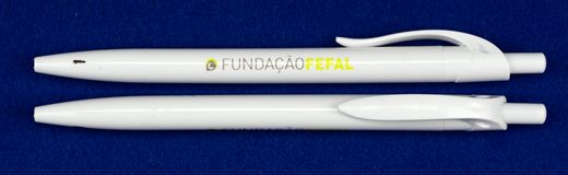 Fundacao FEFAL