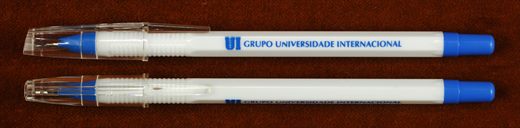 Grupo Universidade Internacional