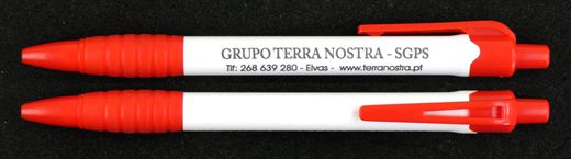 Grupo Terra Nostra - SGPS