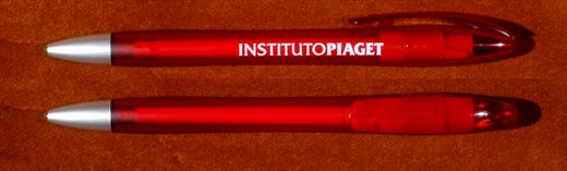 Instituto Piaget