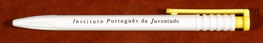 Instituto portugues da Juventude
