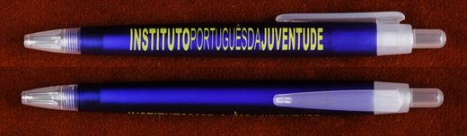 Instituto Portugues da Juventude 2