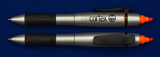 lde cortex
