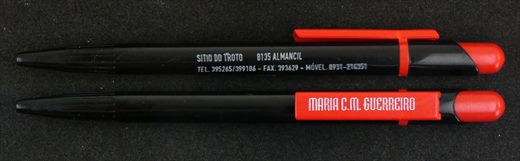 Maria C.M. Guerreiro