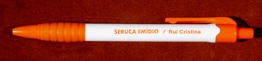 PSD - Seruca Emidio - Rui Cristina