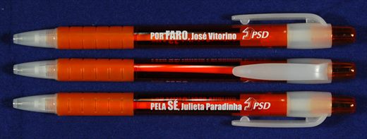 PSD - Jose Vitorino Julieta Paradinha