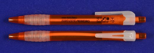 PPD-PSD - Faro - Macario