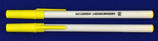PSD Lagoa - Rui Correia
