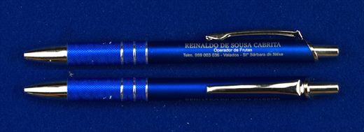 Reinaldo de Sousa Cabrita