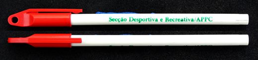 Seccao Desportiva e Recreativa - APPC