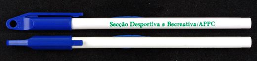 Seccao desportiva e Recreativa - APPC 2