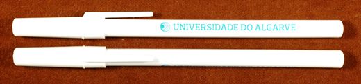 Universidade do Algarve