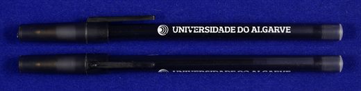 Universidade do Algarve