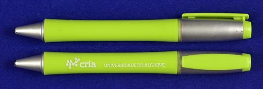 Universidade do Algarve - Cria