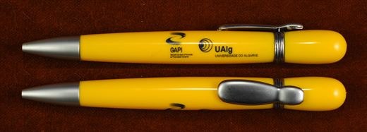Universidade do Algarve ualg GAPI (amarelo-cinza)