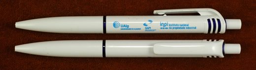 Universidade do Algarve Ualg GAPI inpi