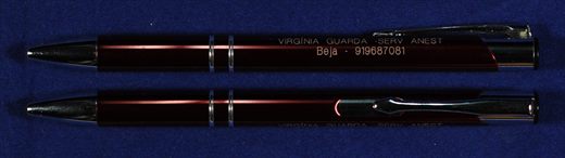 Virginia Guarda