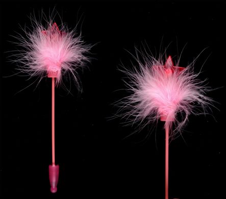 Esferografica (estrela-plumas)