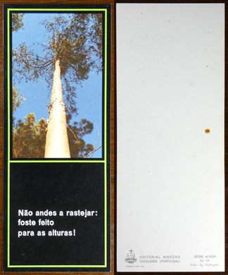 Marcador de livros 01