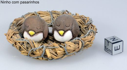Ninho com pasarinhos