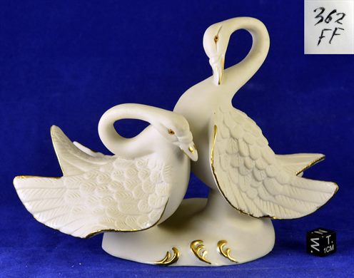 Cisnes