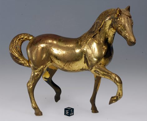 Cavalo 1