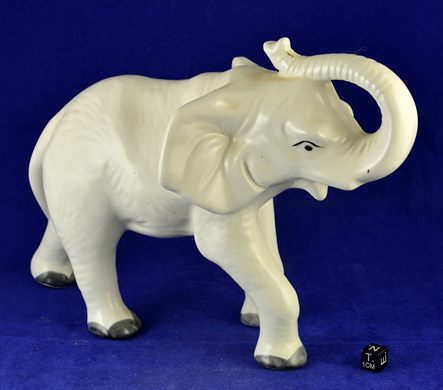 Elefante branco