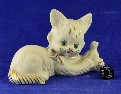 Gato com passaro