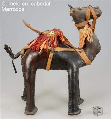 Camelo em cabedal (Marrocos)