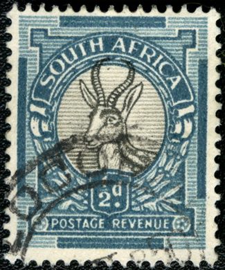 Africa do Sul - 1926 - Gazela Springbok - 0.5D (Ingles)