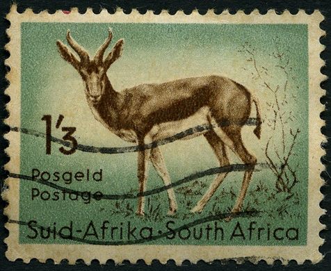 Africa do Sul - 1954 - Gazela Springbok - 1S3D (Bilingue)