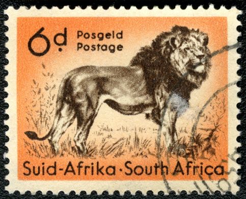 Africa do Sul - 1954 - Leao - 6D (Bilingue)