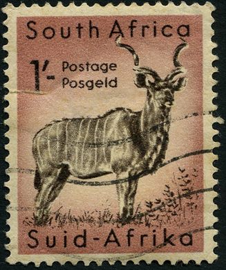 Africa do Sul - 1954 - Grande Kudu - 1S (Bilingue)