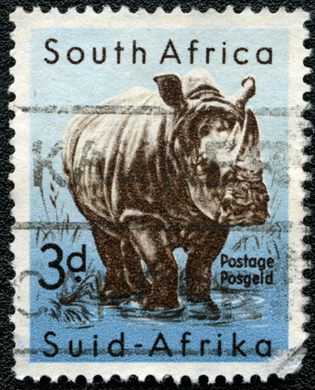 Africa do Sul - 1954 - Rinoceronte Branco - 3D (Bilingue)